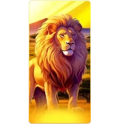 Lion
Safari